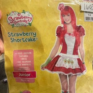 Strawberry Shortcake Costume with Wig